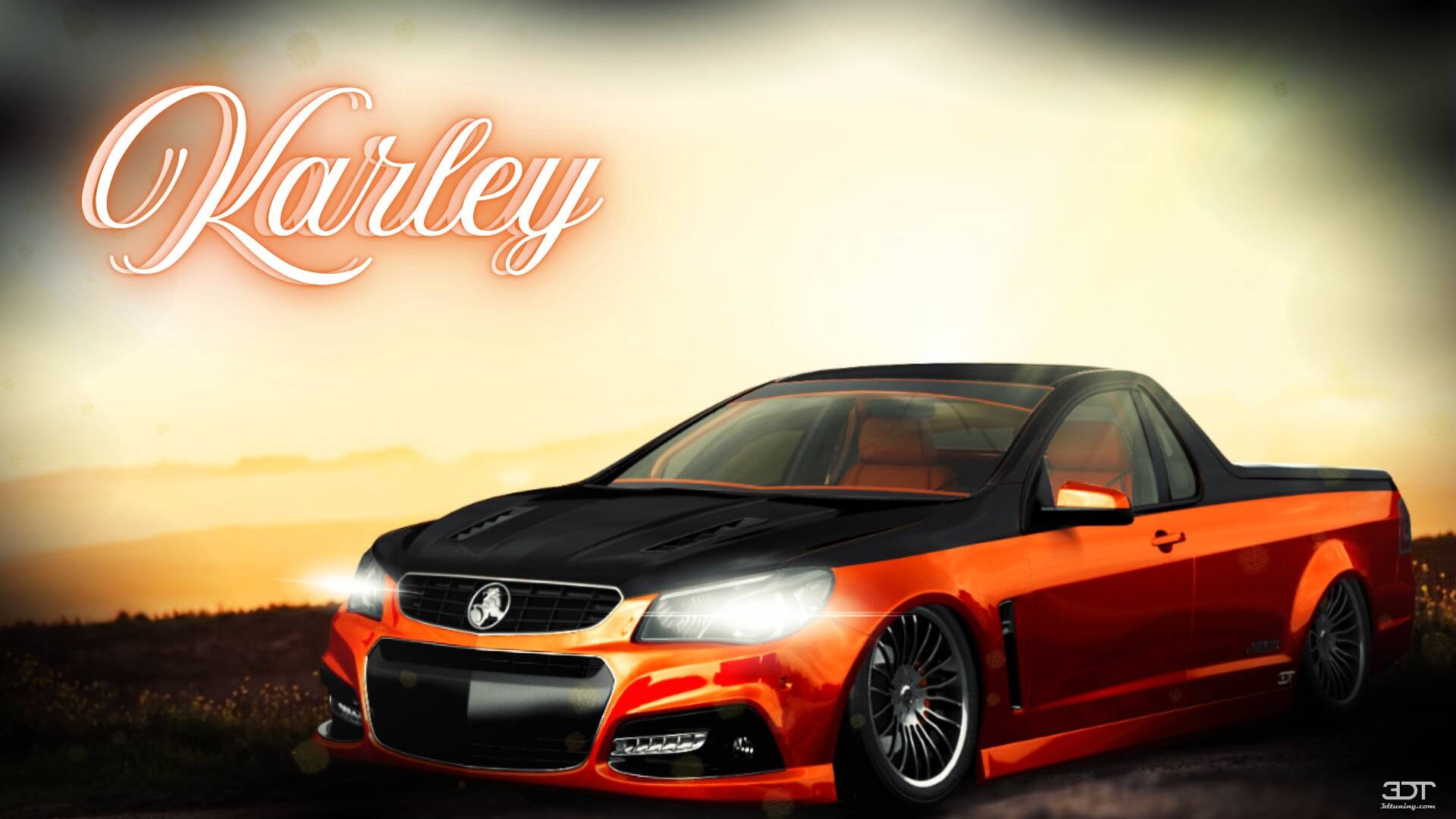 Holden VF Commodore Ute 2 Door Coupe 2014