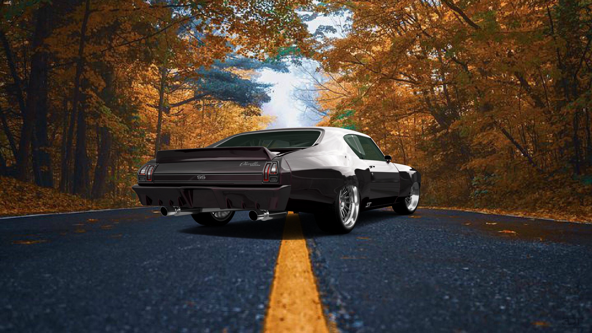 Chevrolet Chevelle SS 2 Door Hardtop 1969 Images