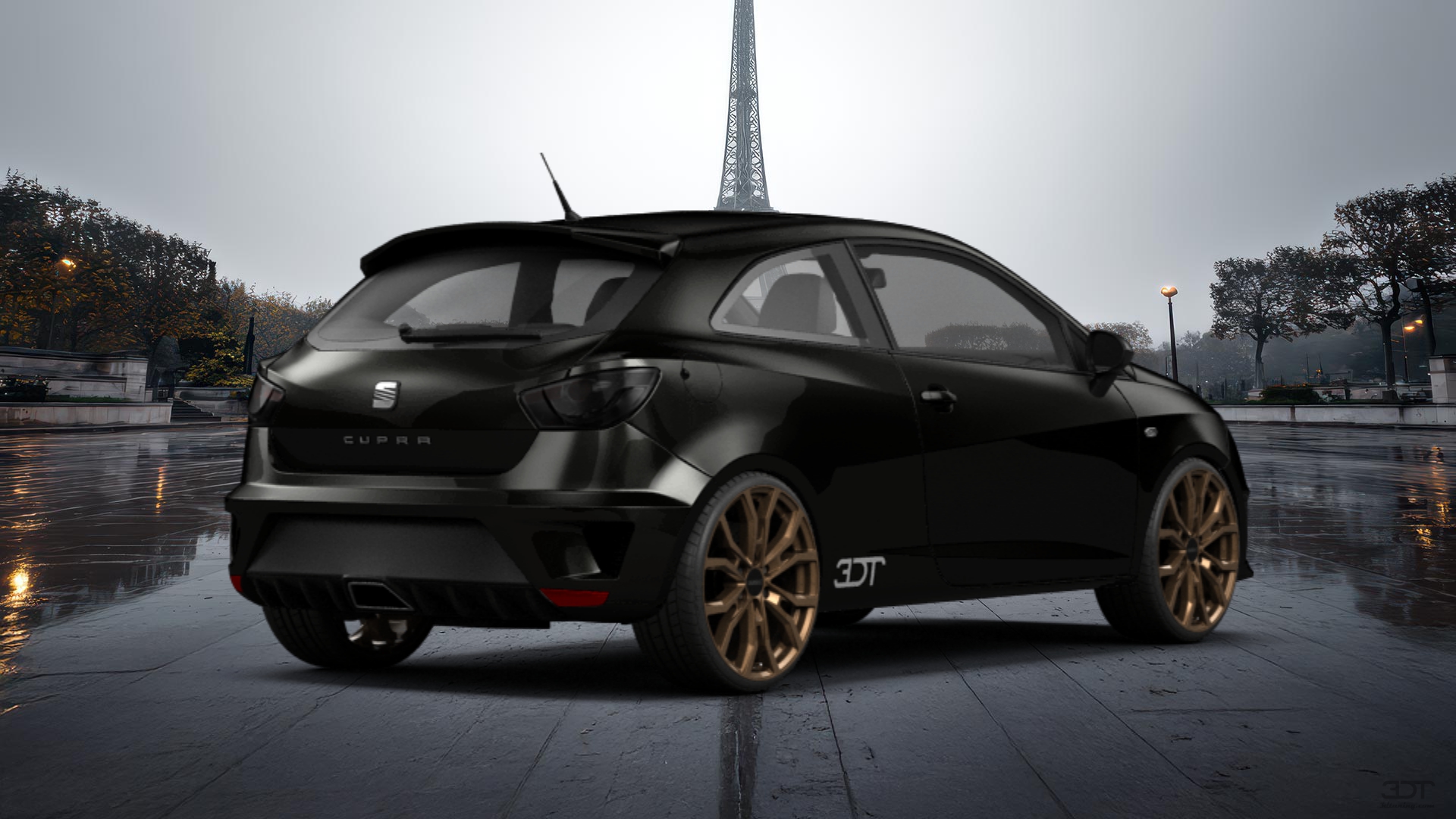 Seat Ibiza Cupra 3 Door Hatchback 2009 Images