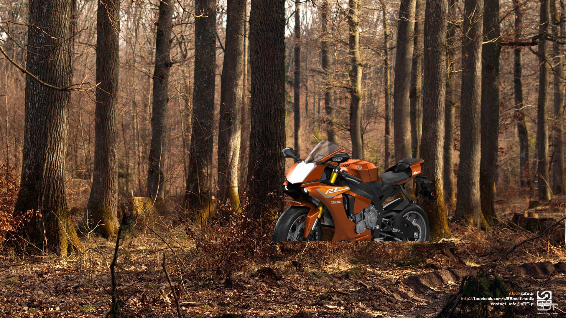 Yamaha YZF R1 Sport Bike 2015 Images