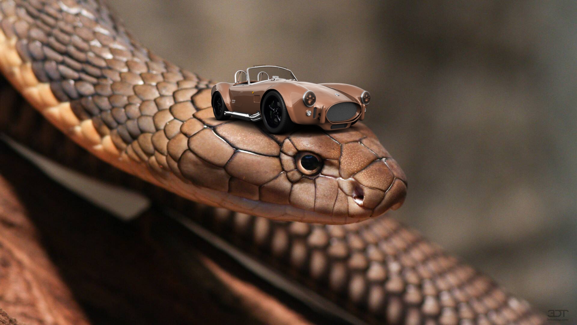 AC Cobra Classic Roadster 1962 tuning