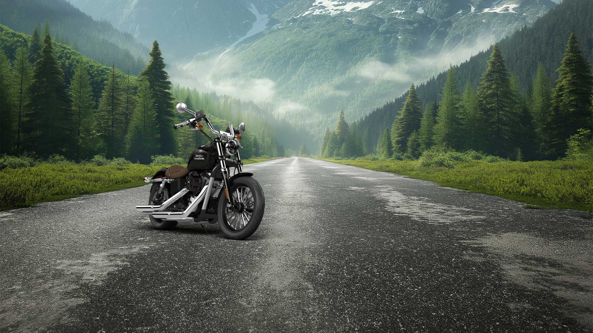 Harley-Davidson Dyna Street Bob Cruiser 2015