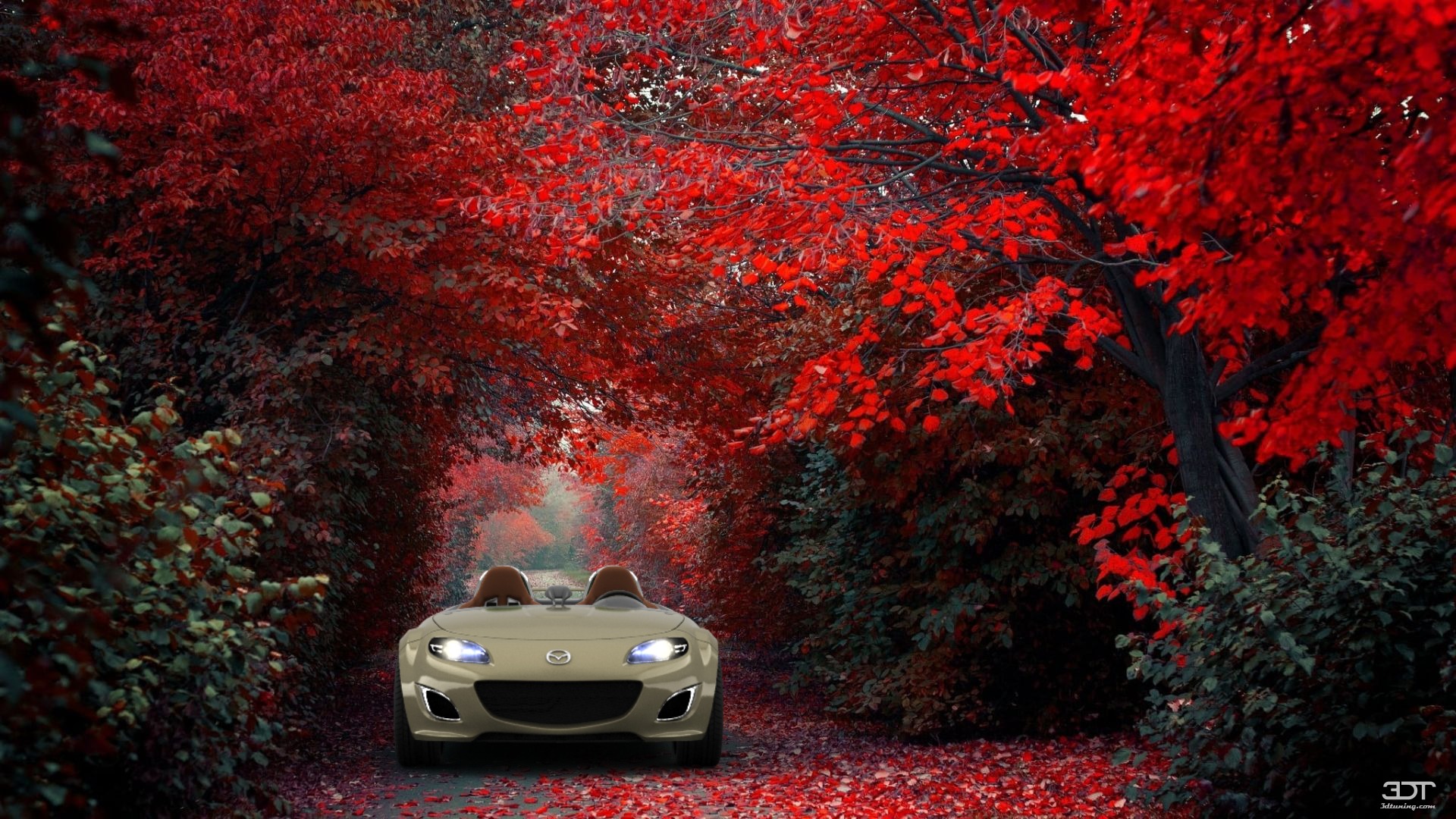 Mazda MX-5 Superlight Convertible 2010 图片