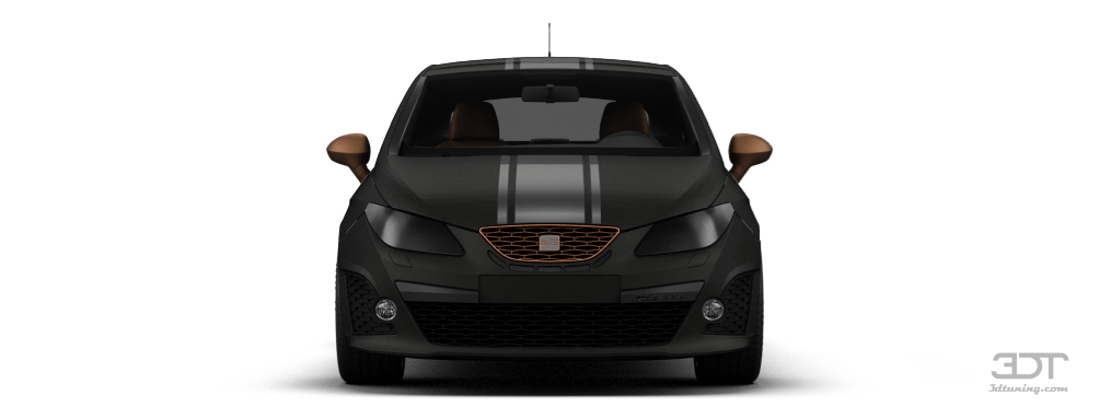 Seat Ibiza Cupra 2009