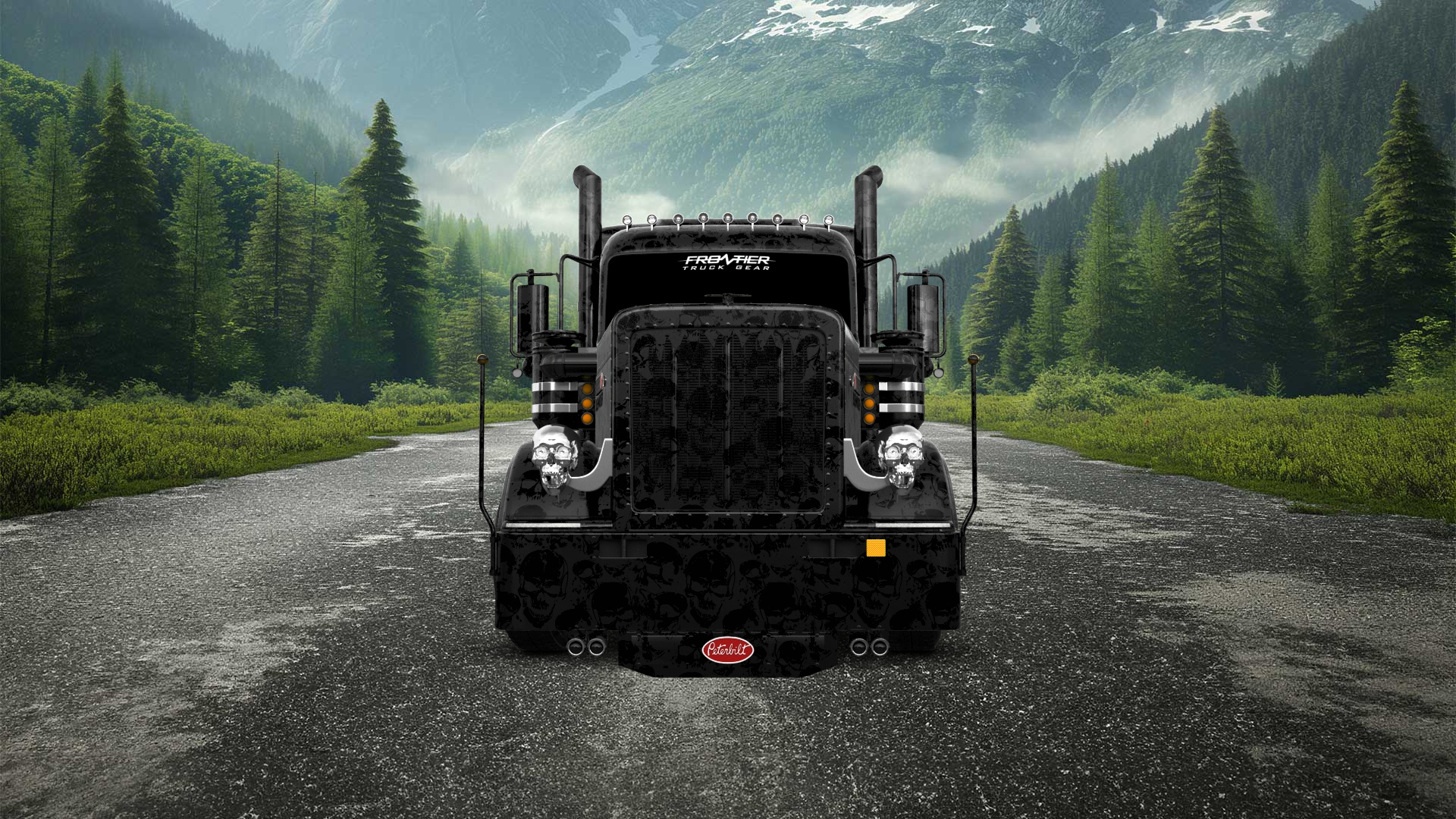 Peterbilt 589 Sleeper Cab Truck 2024