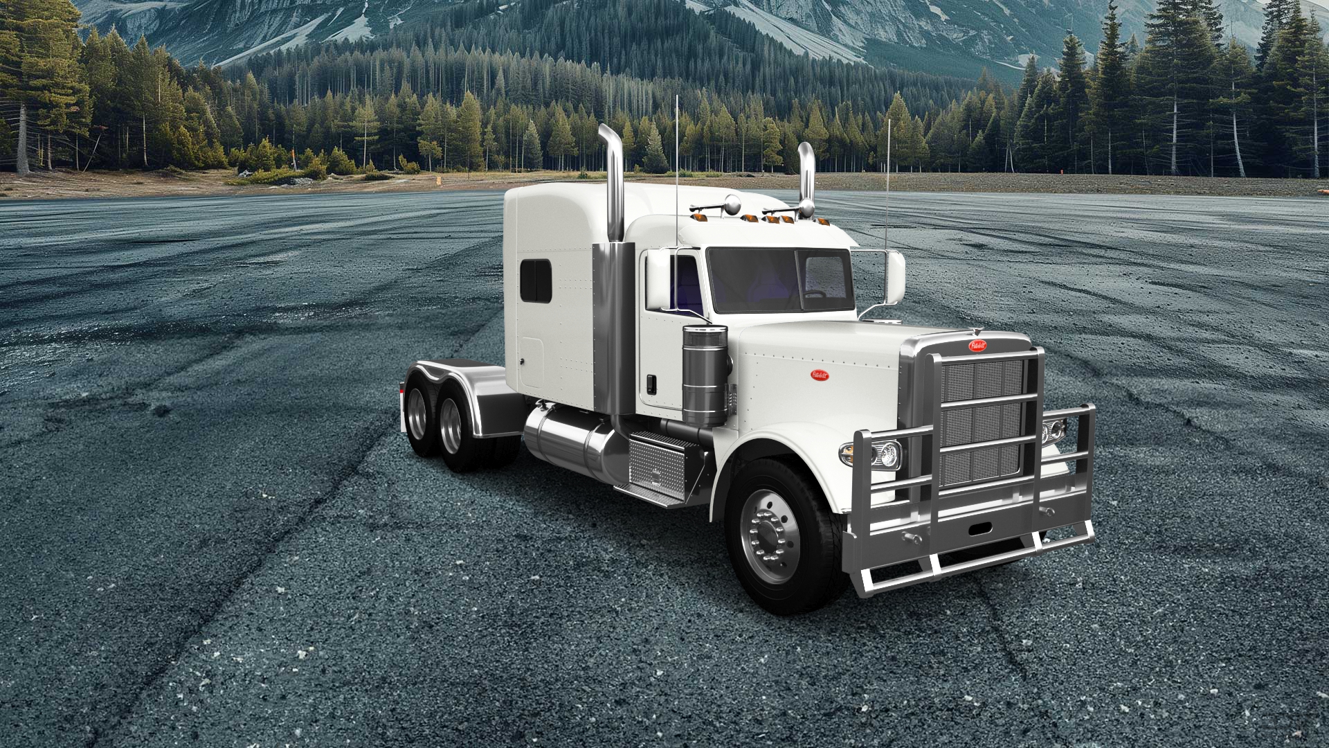 Peterbilt 389 Sleeper Cab Truck 2016