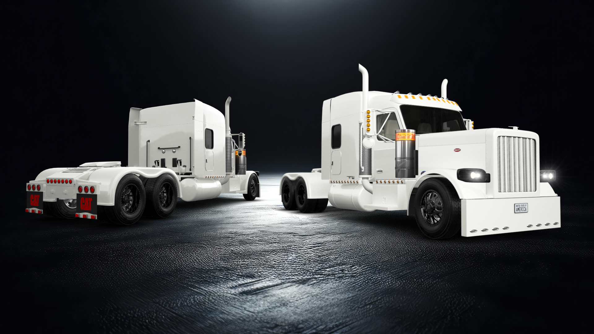 Peterbilt 589 Sleeper Cab Truck 2024