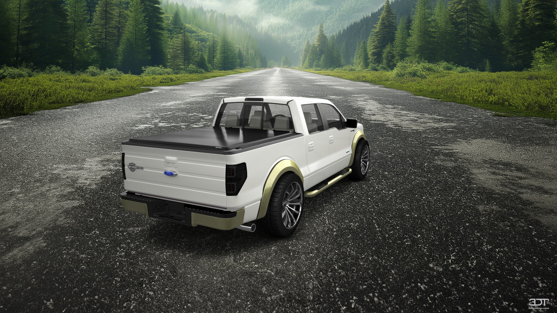 Ford F-150 Crew Cab 4 Door pickup truck 2013