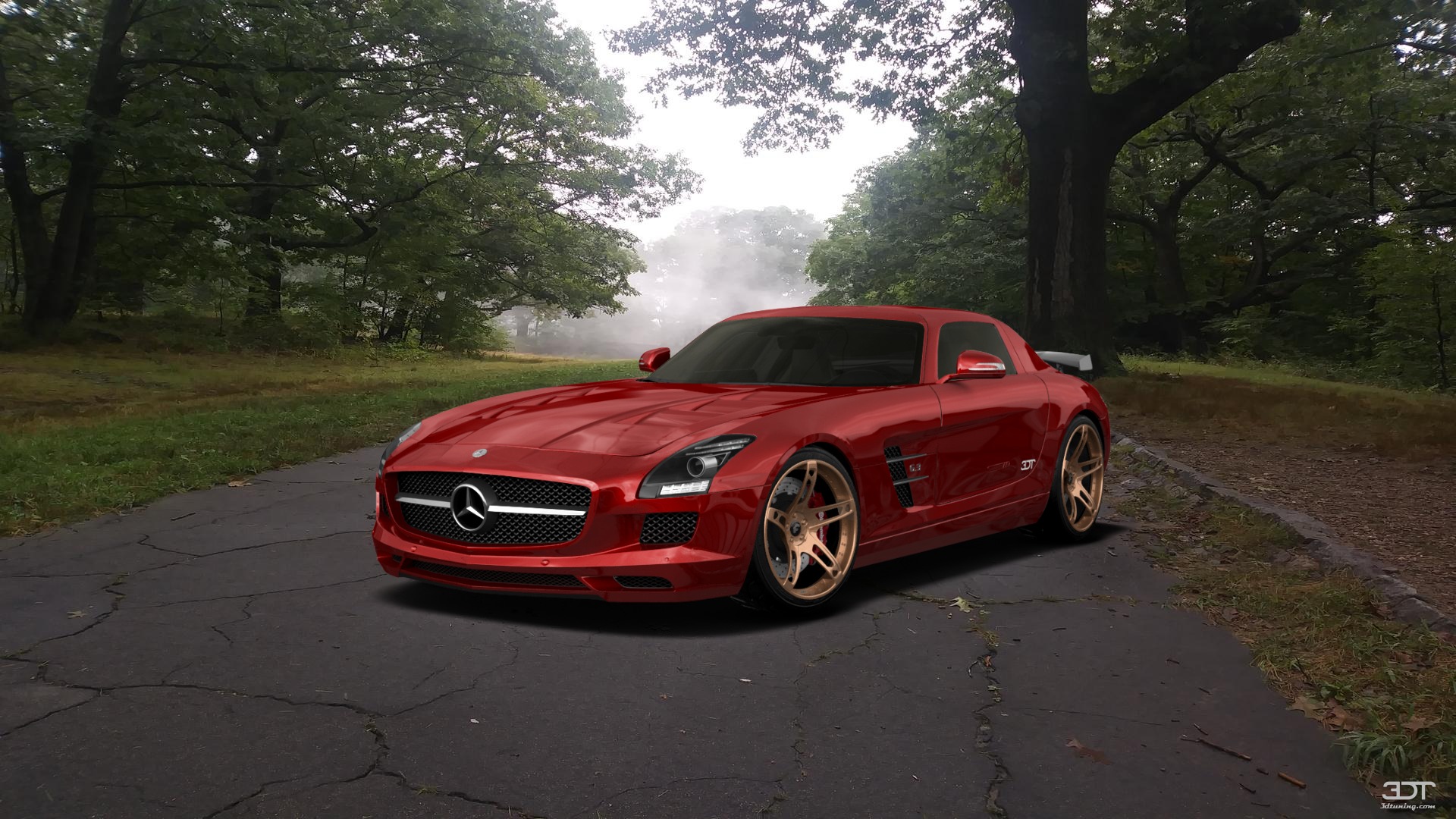 Mercedes SLS 2 Door Coupe 2011 tuning