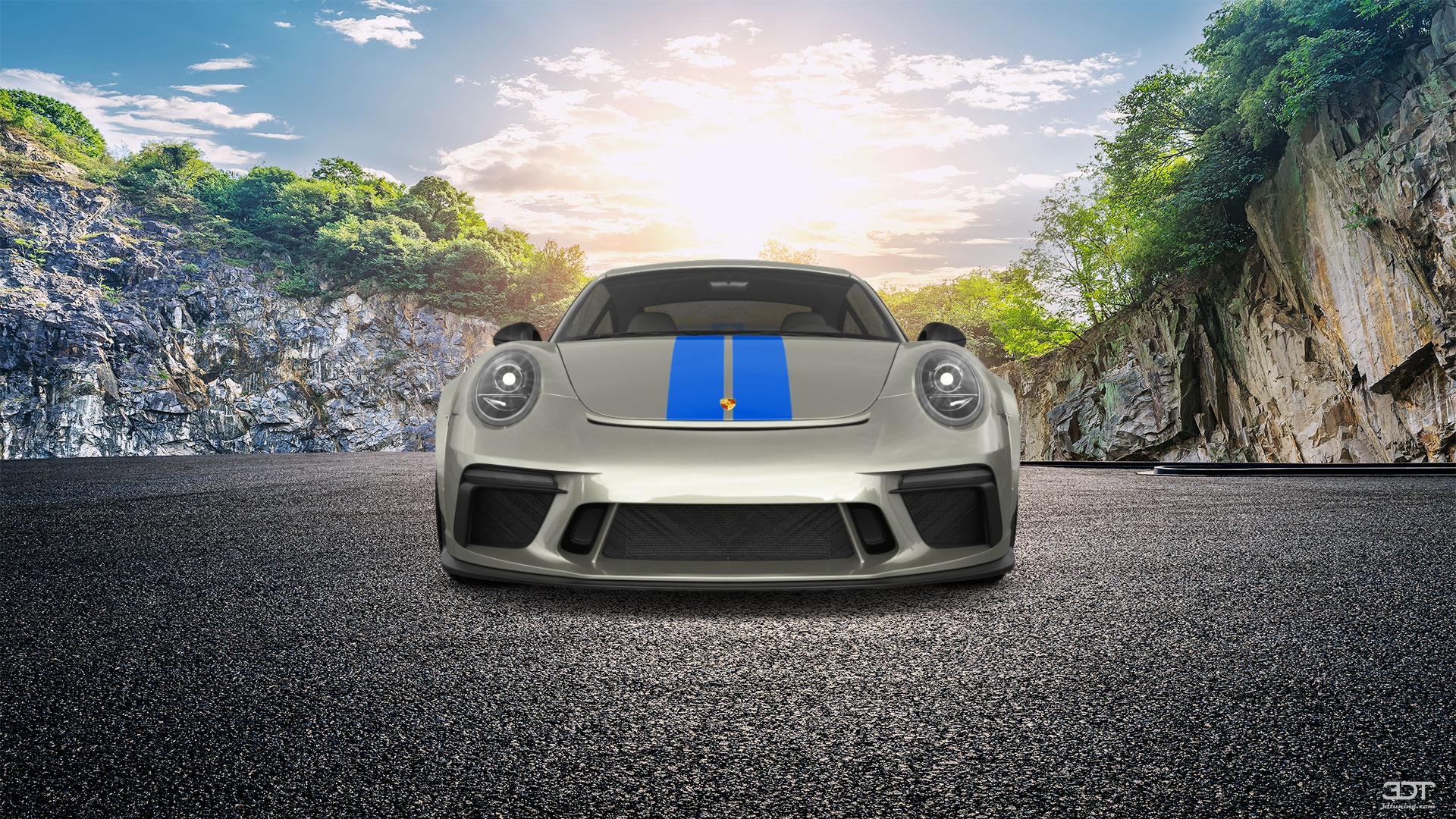 Porsche 911 Carrera 2 Door Coupe 2011