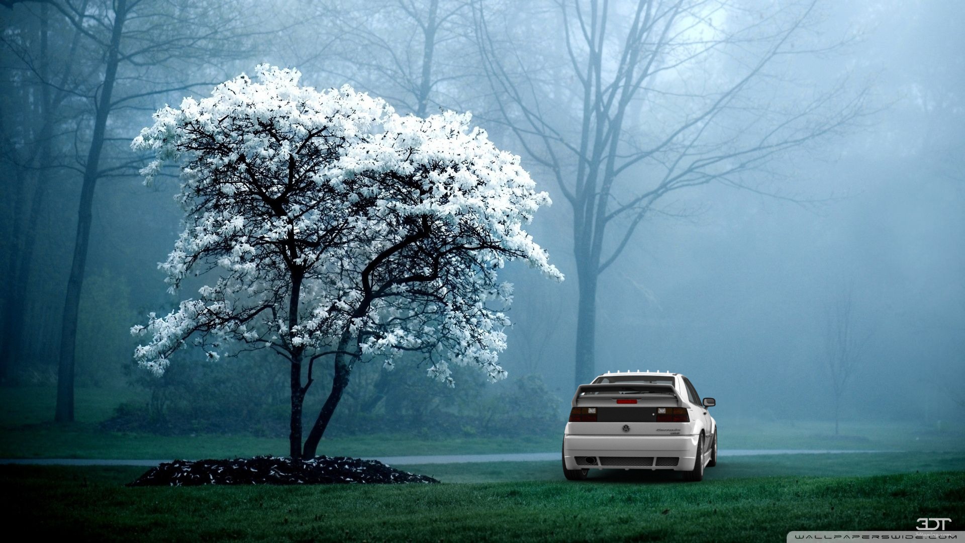 Volkswagen Corrado VR6 3 Door Hatchback 1995 Images