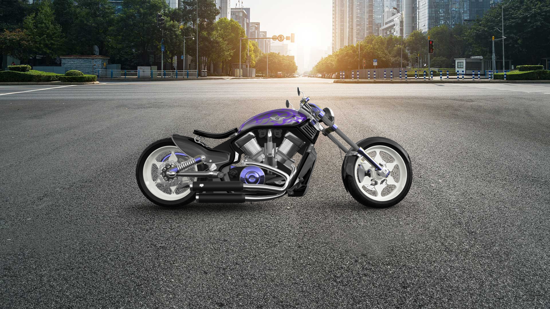 Harley-Davidson Custom Chopper Cruiser 2011