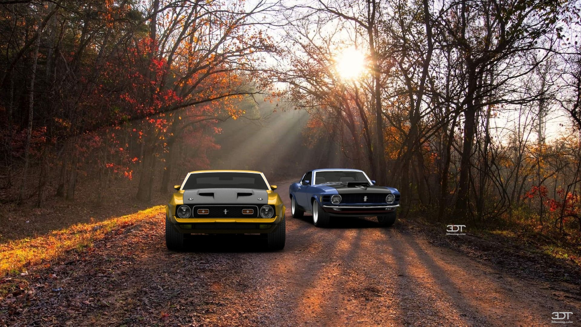 Mustang Mach 1 Coupe 1971 Images