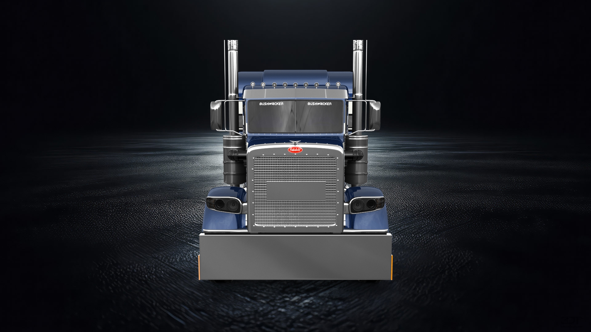 Peterbilt 389 Sleeper Cab Truck 2016