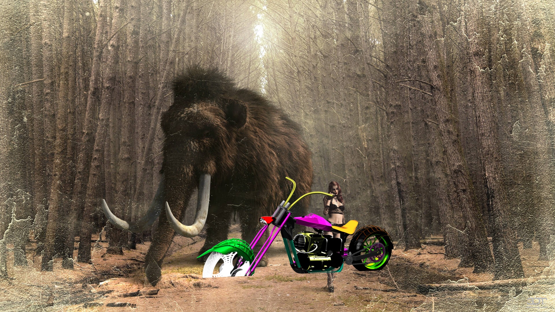 Custom Chopper Chopper 2017 tuning