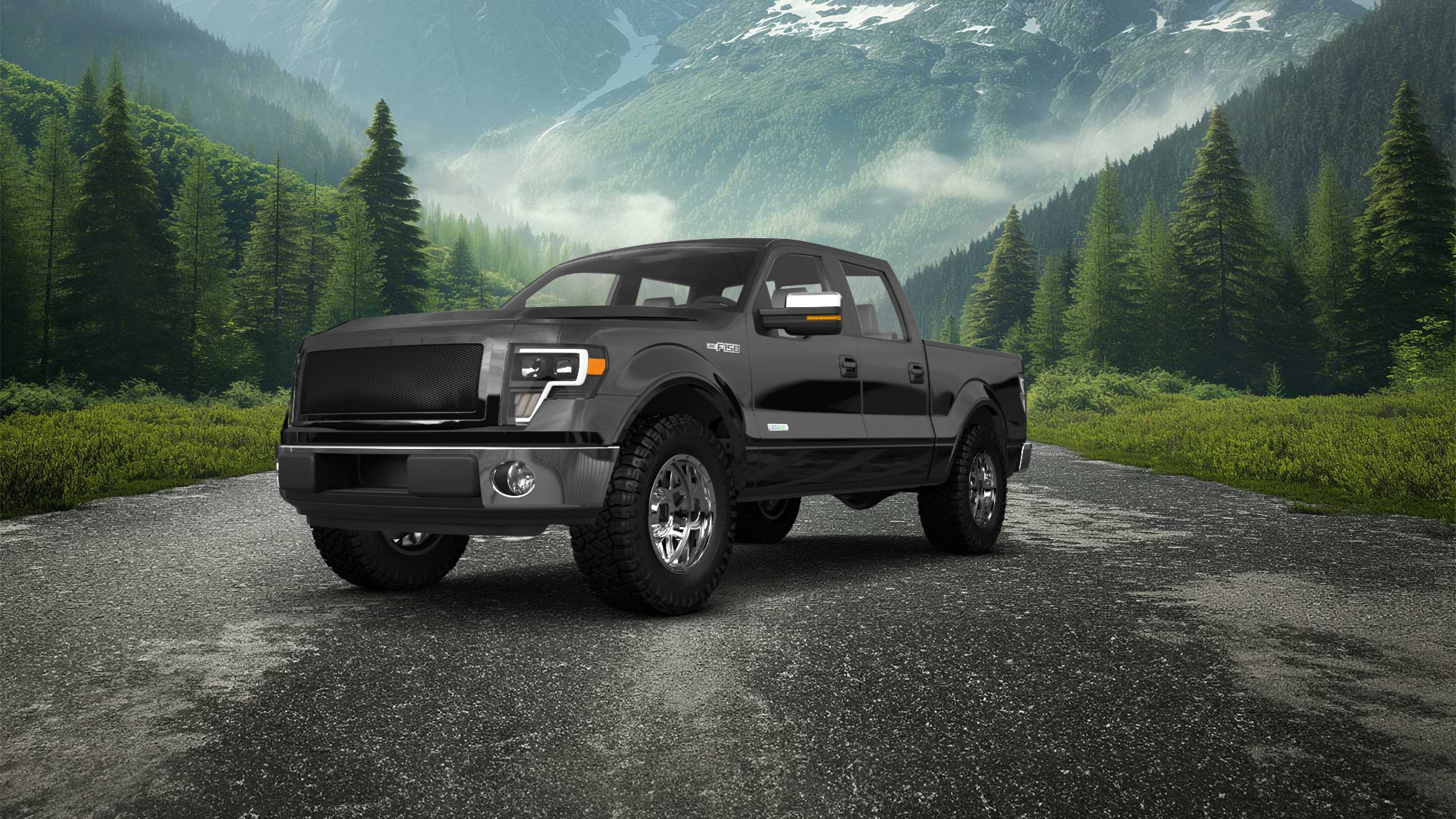Ford F-150 Crew Cab 4 Door pickup truck 2013