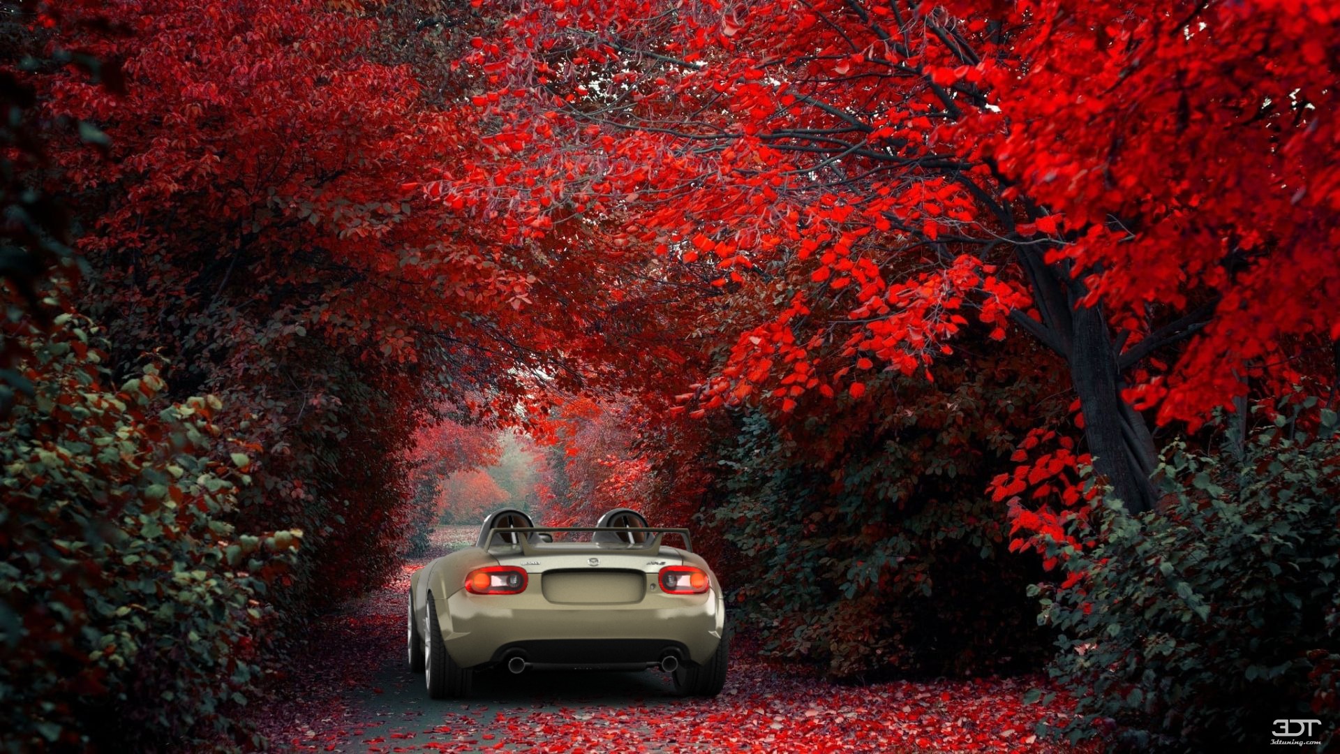 Mazda MX-5 Superlight Convertible 2010 图片