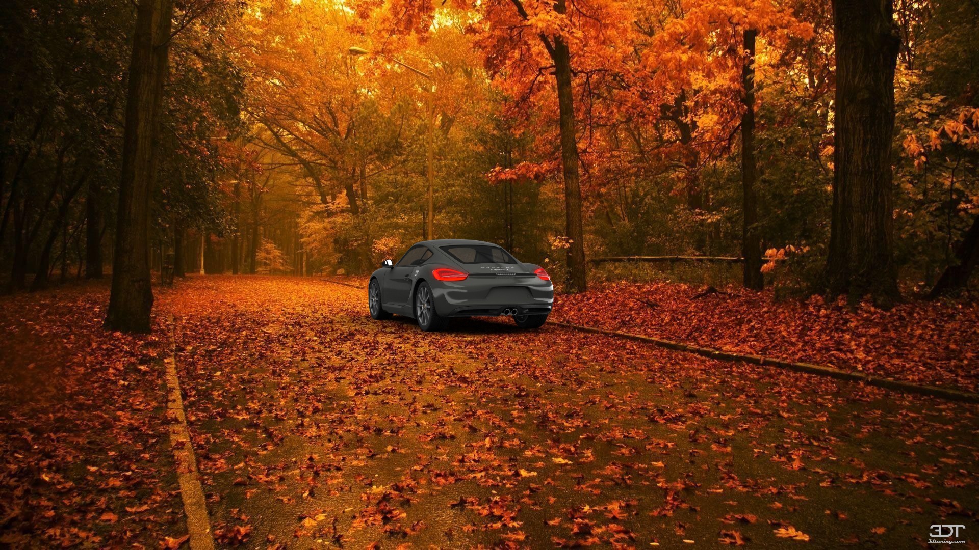 Porsche Cayman Coupe 2014