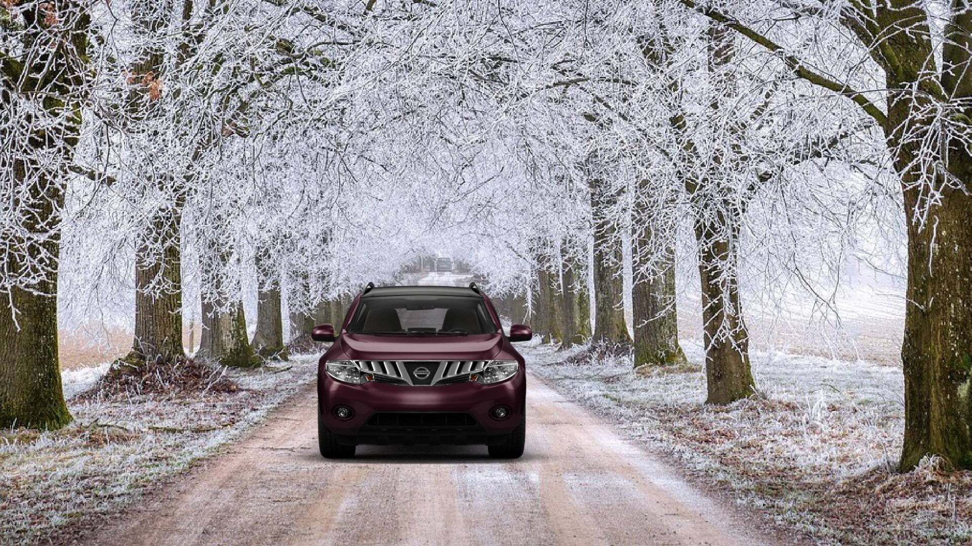 2009 NISSAN MURANO Custom