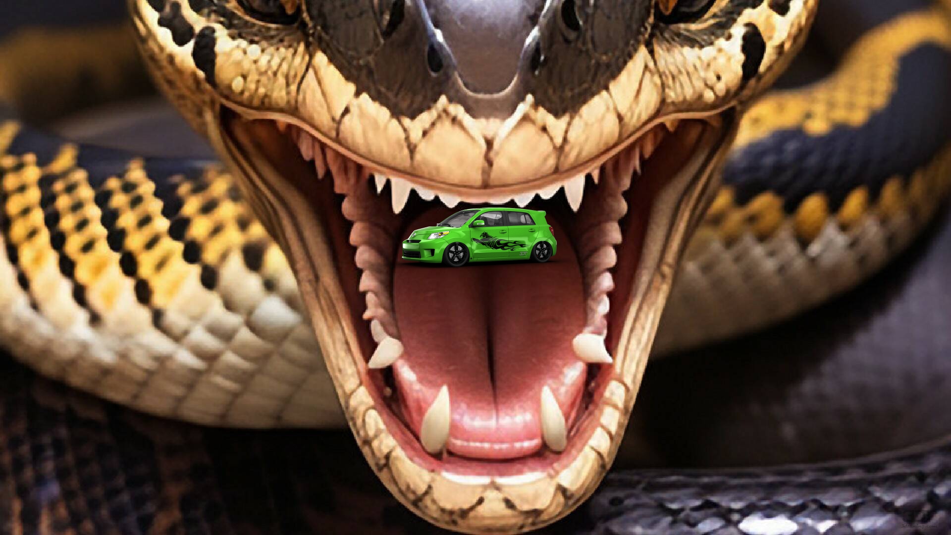 Scion xD Crossover 2011 tuning