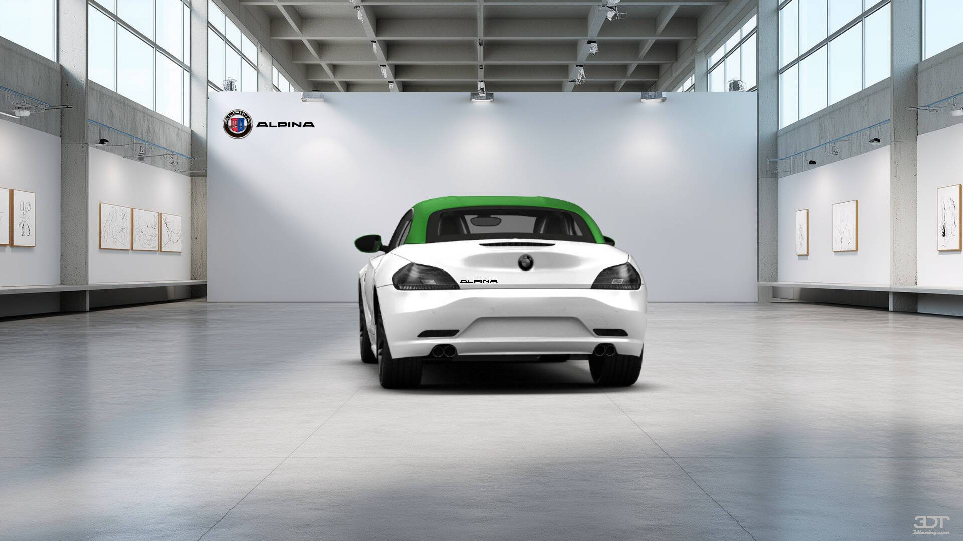 BMW Z4 Roadster 2009 Images