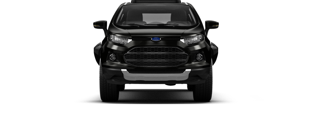 disgusting EcoSport