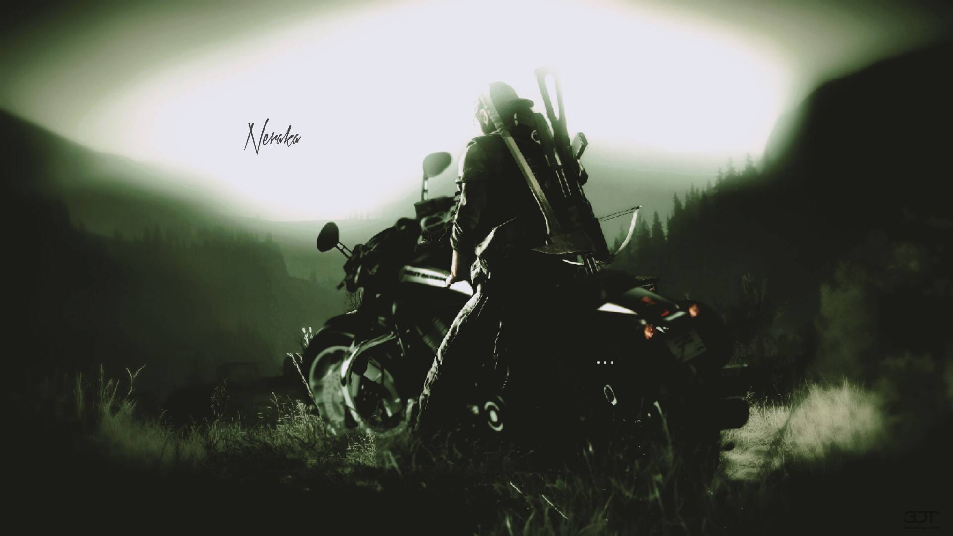 Harley-Davidson V-rod Night Rod Special Cruiser 2013