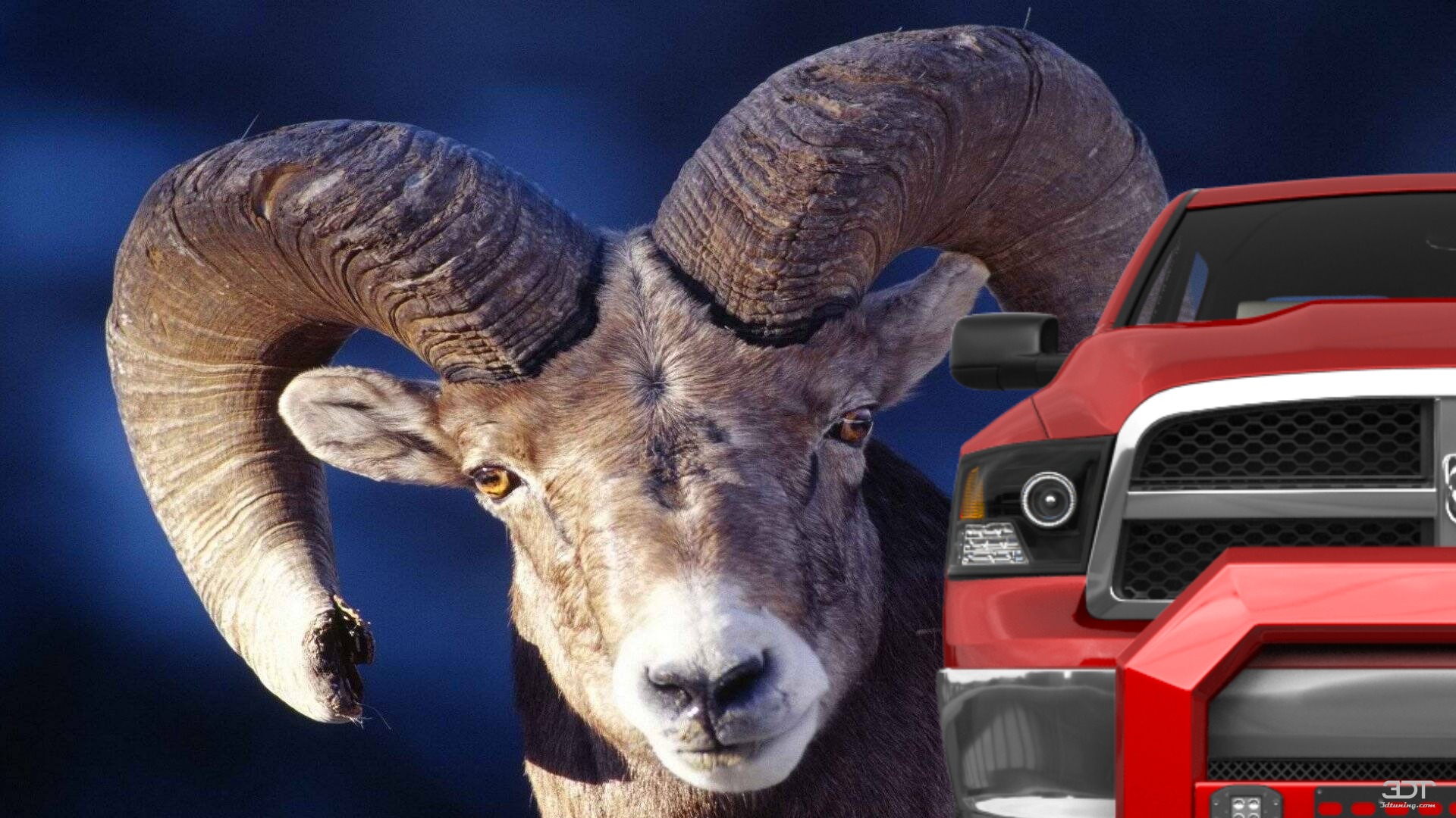 Dodge Ram 1500 5.7' box 4 Door pickup truck 2010 Images