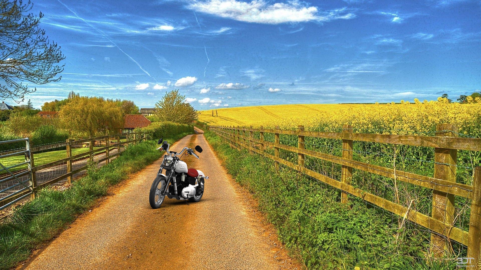 Harley-Davidson Dyna Street Bob Cruiser 2015