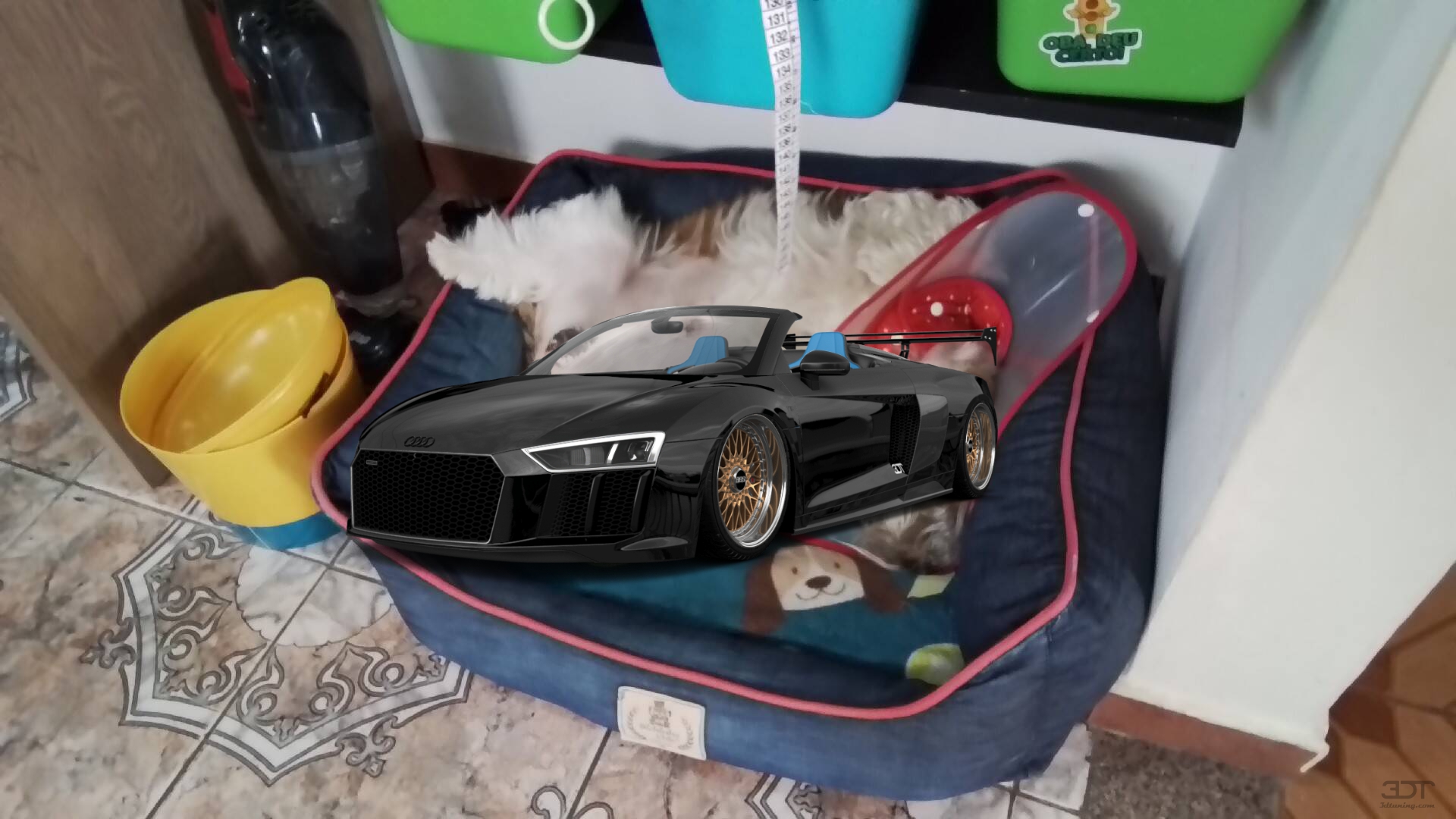 Audi R8 Spyder 2 Door Convertible 2019 tuning