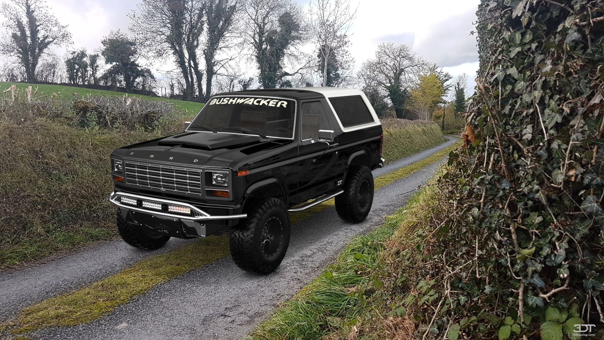 Ford Bronco 3 Door SUV 1980