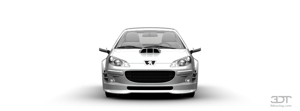 2010 407 TAXI MARSEILLE