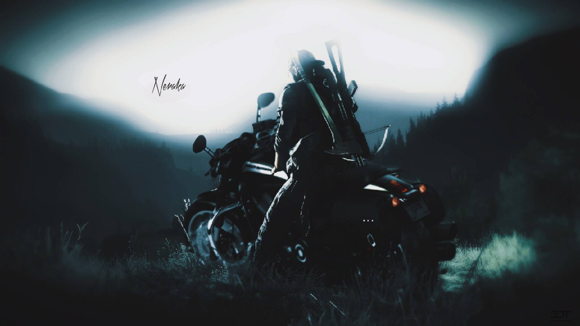 Harley-Davidson V-rod Night Rod Special Cruiser 2013 Изображения