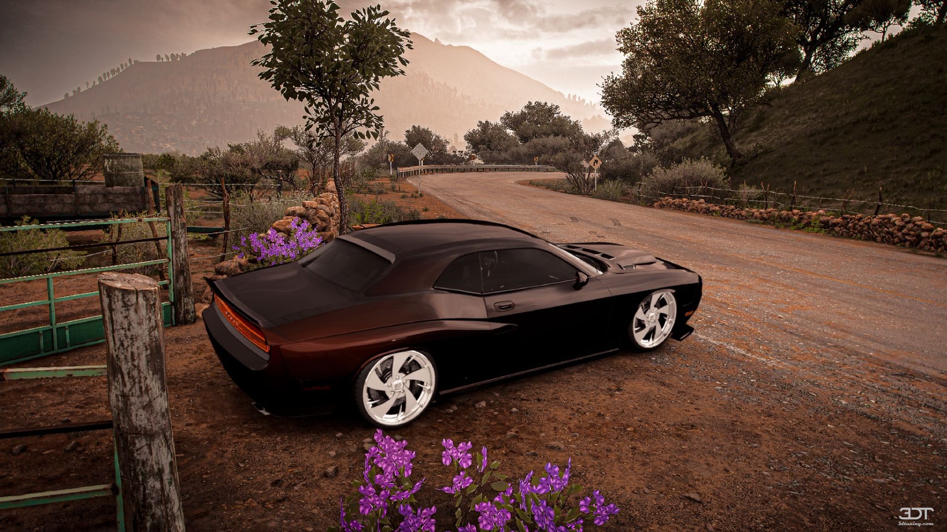 Dodge Challenger 2 Door Coupe 2009 Images