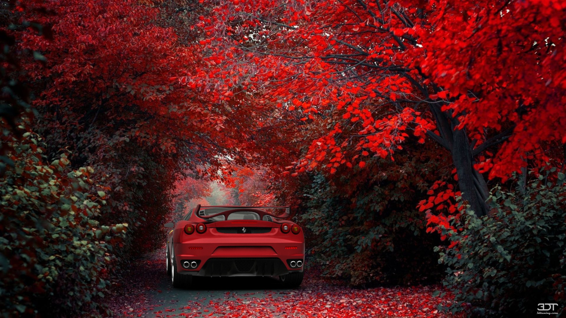 Ferrari F430 Coupe 2004 Images