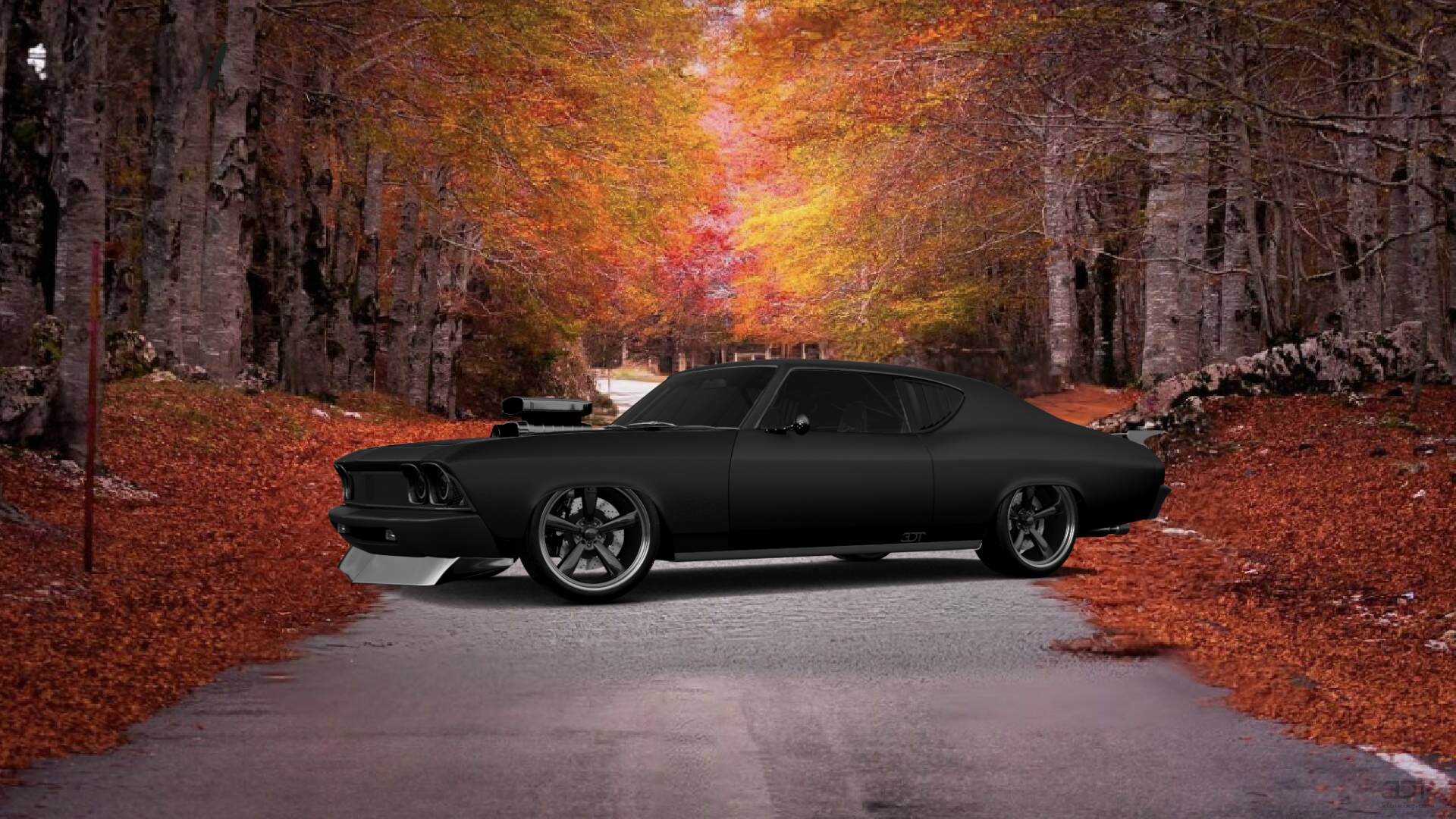 Chevrolet Chevelle SS 2 Door Hardtop 1969 Images