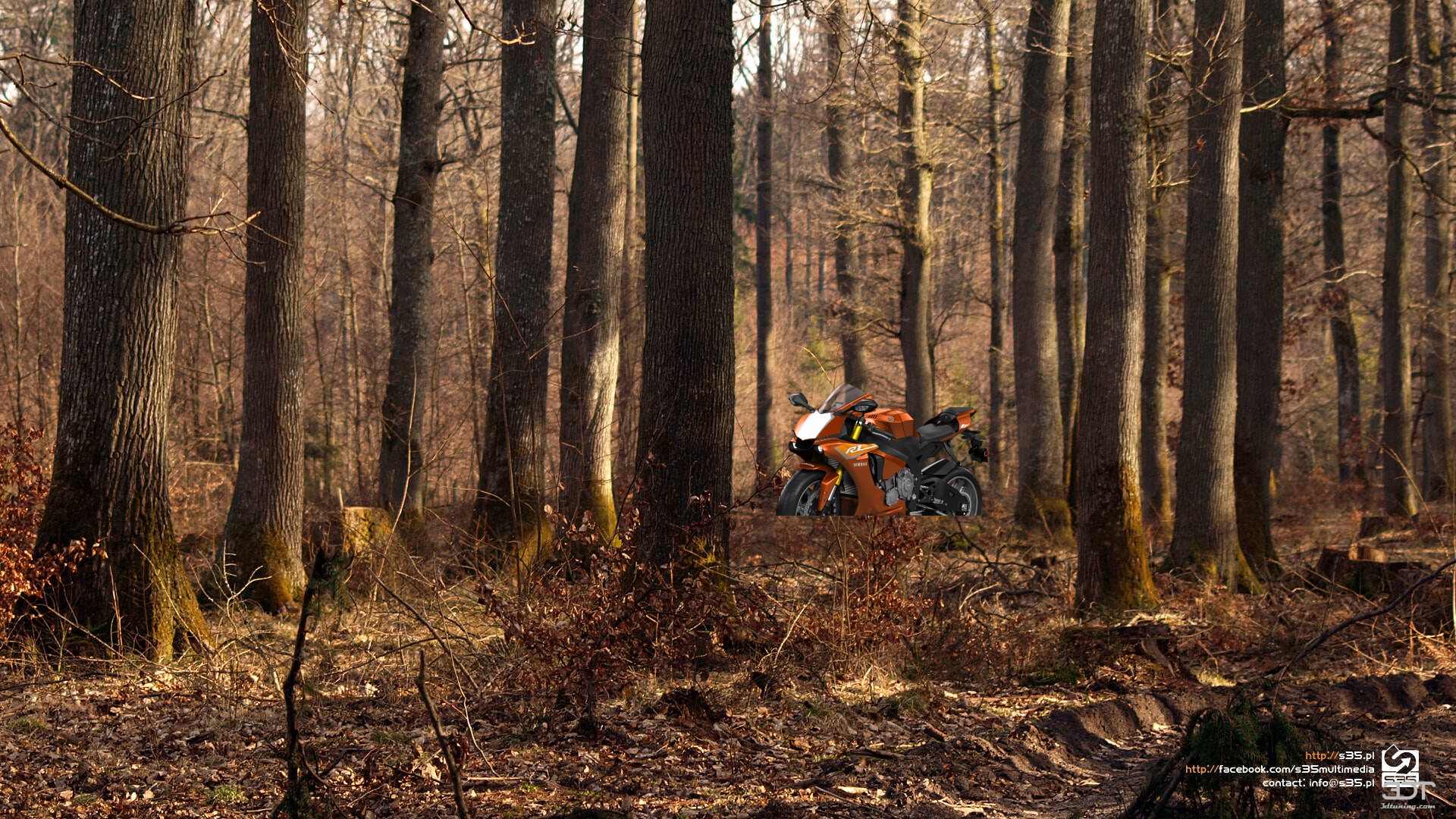 Yamaha YZF R1 Sport Bike 2015 tuning