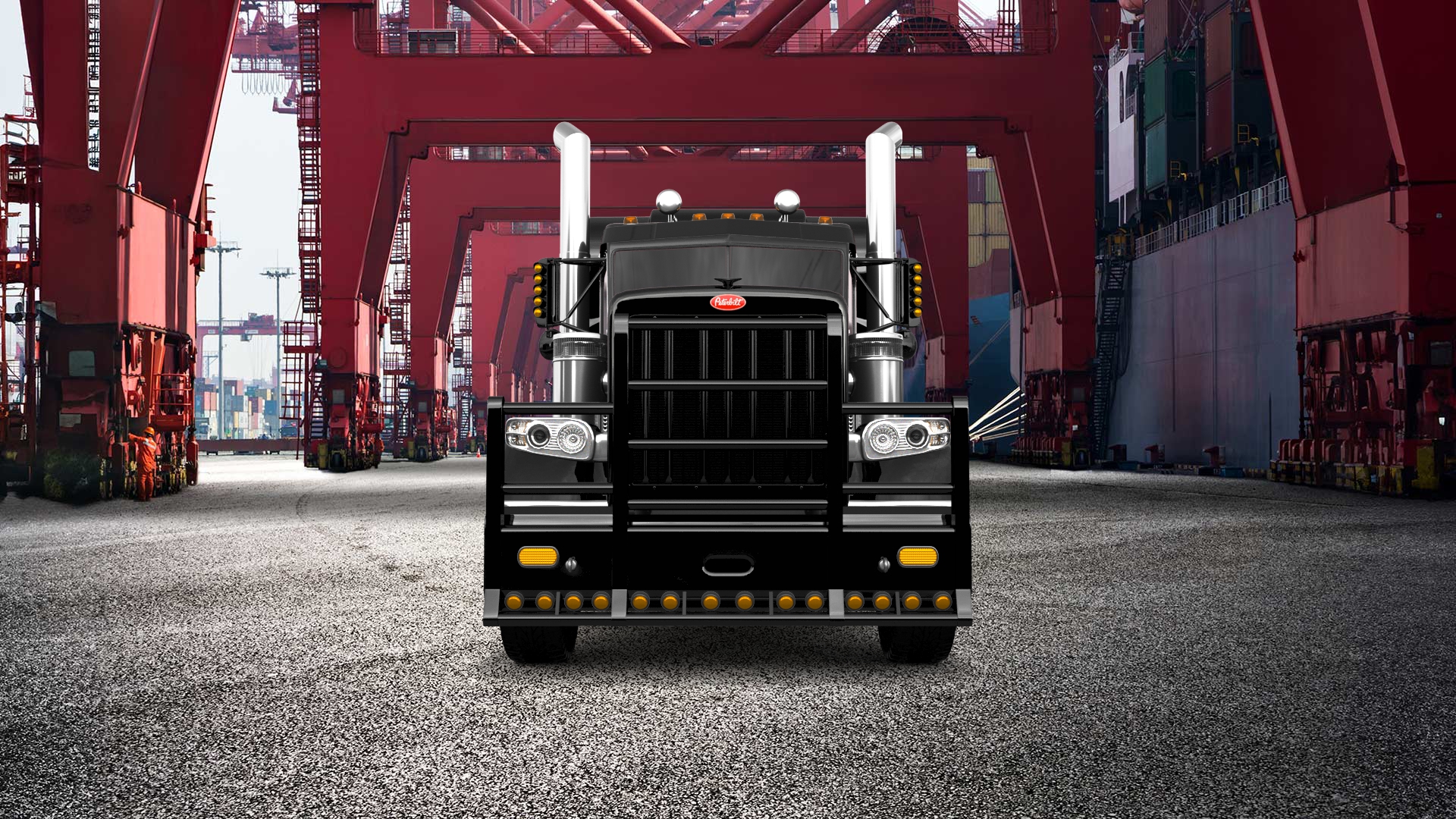 Peterbilt 389 Sleeper Cab Truck 2016
