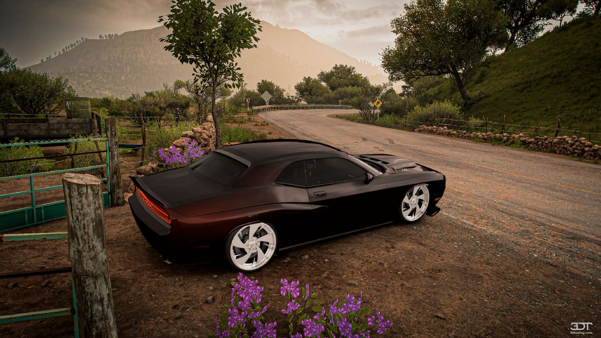 Dodge Challenger 2 Door Coupe 2009 Images