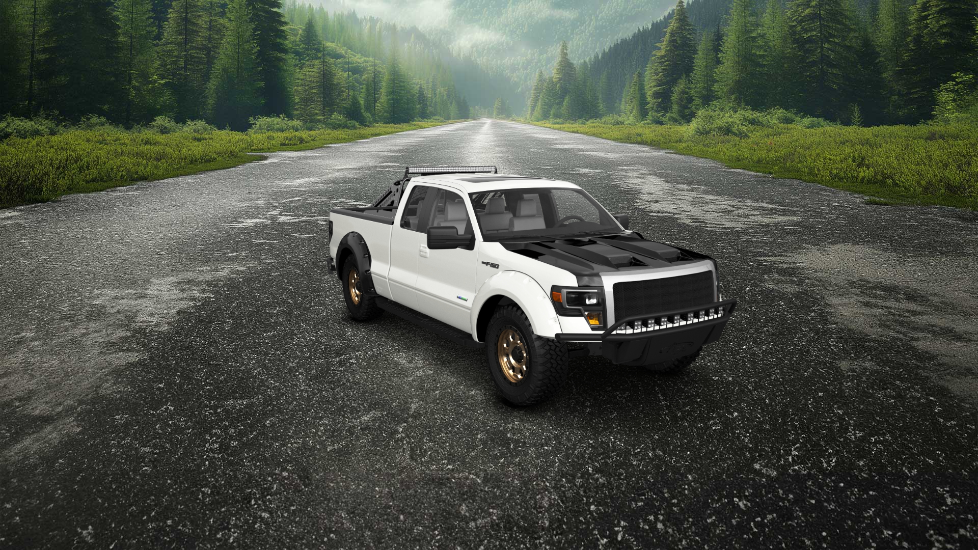 Ford F-150 SuperCab 4 Door pickup truck 2009 tuning
