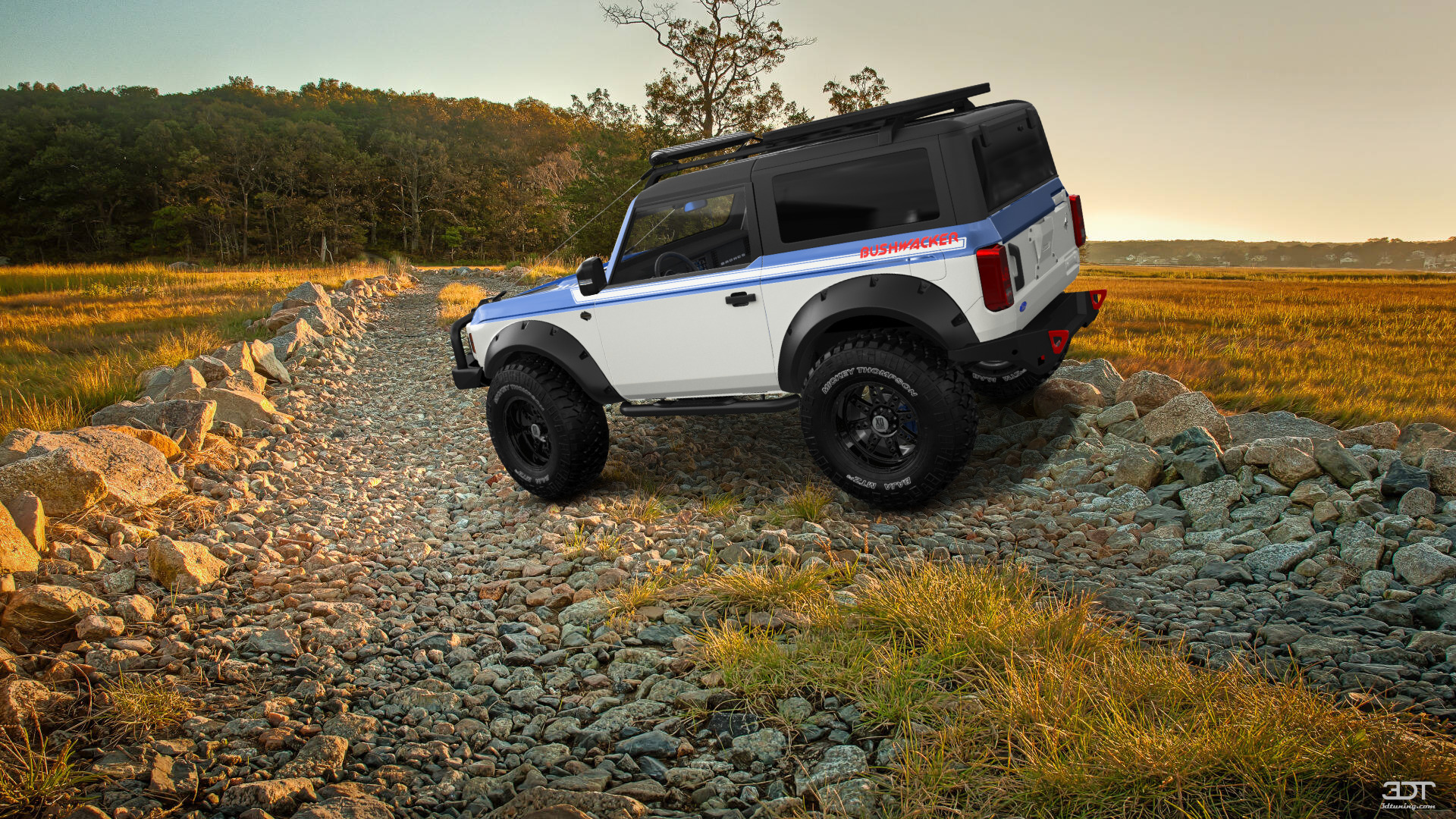 Ford Bronco 2 Door SUV 2021 Images