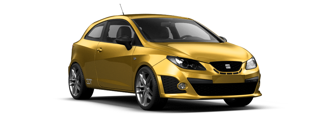 Seat Ibiza Cupra 2009