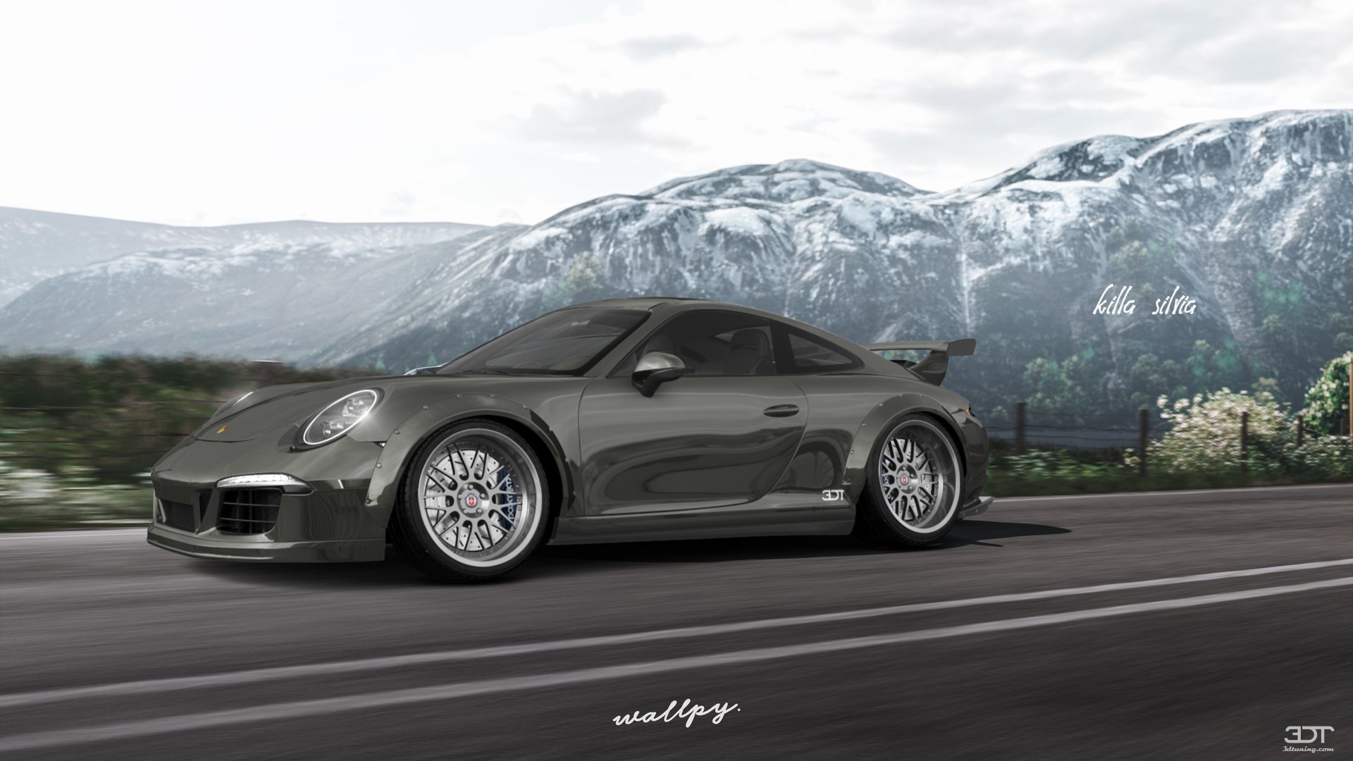 Porsche 911 Carrera 2 Door Coupe 2011