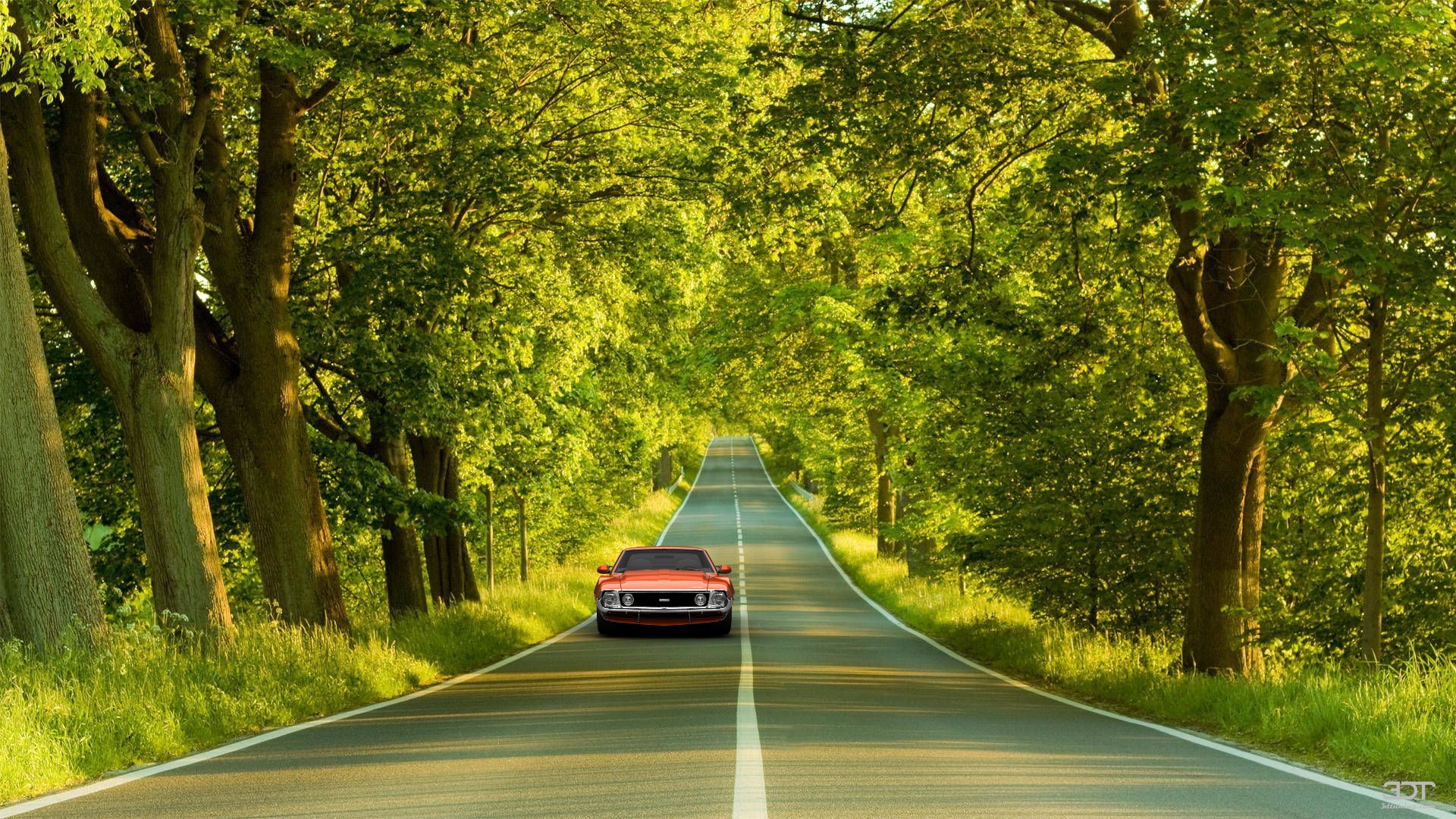 AMC Javelin-AMX Coupe 1971 Images