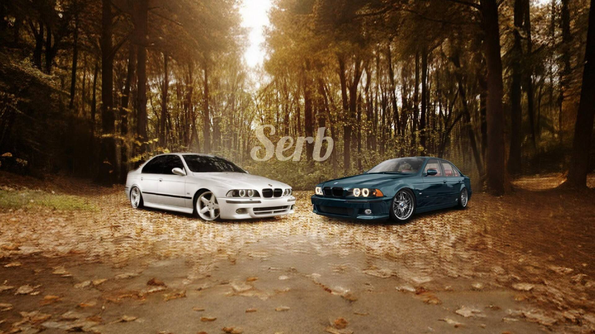 BMW 5 Series M5 Sedan 2003