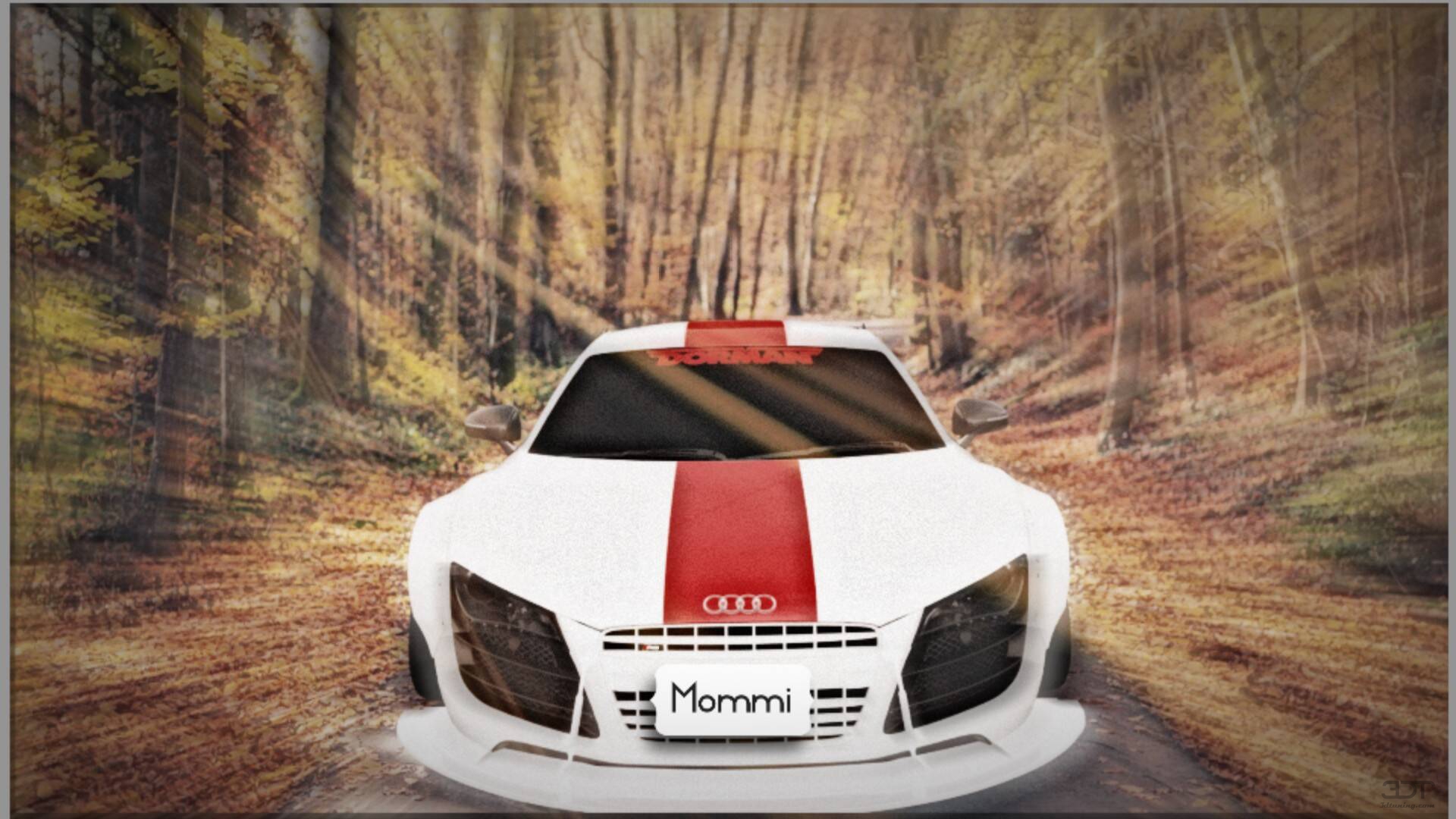 Audi R8 2 Door Coupe 2008