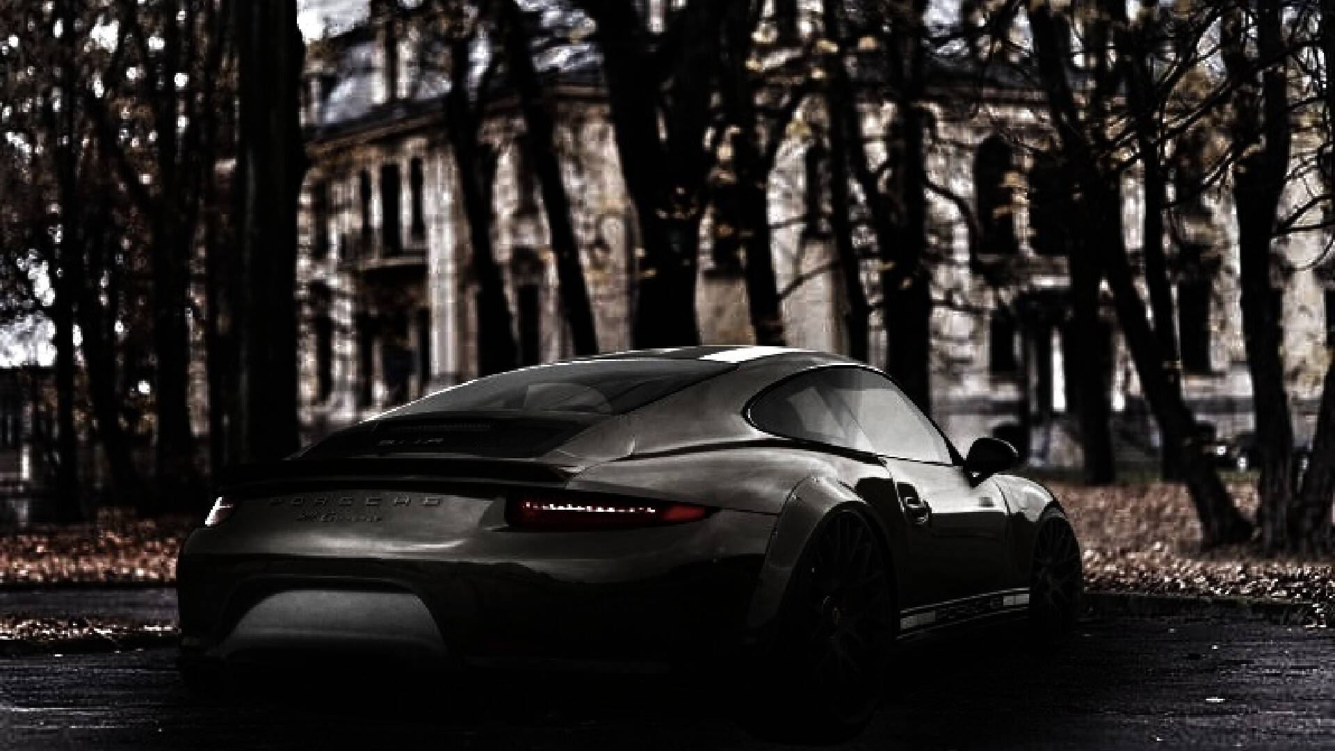 Porsche 911 Carrera 2 Door Coupe 2011