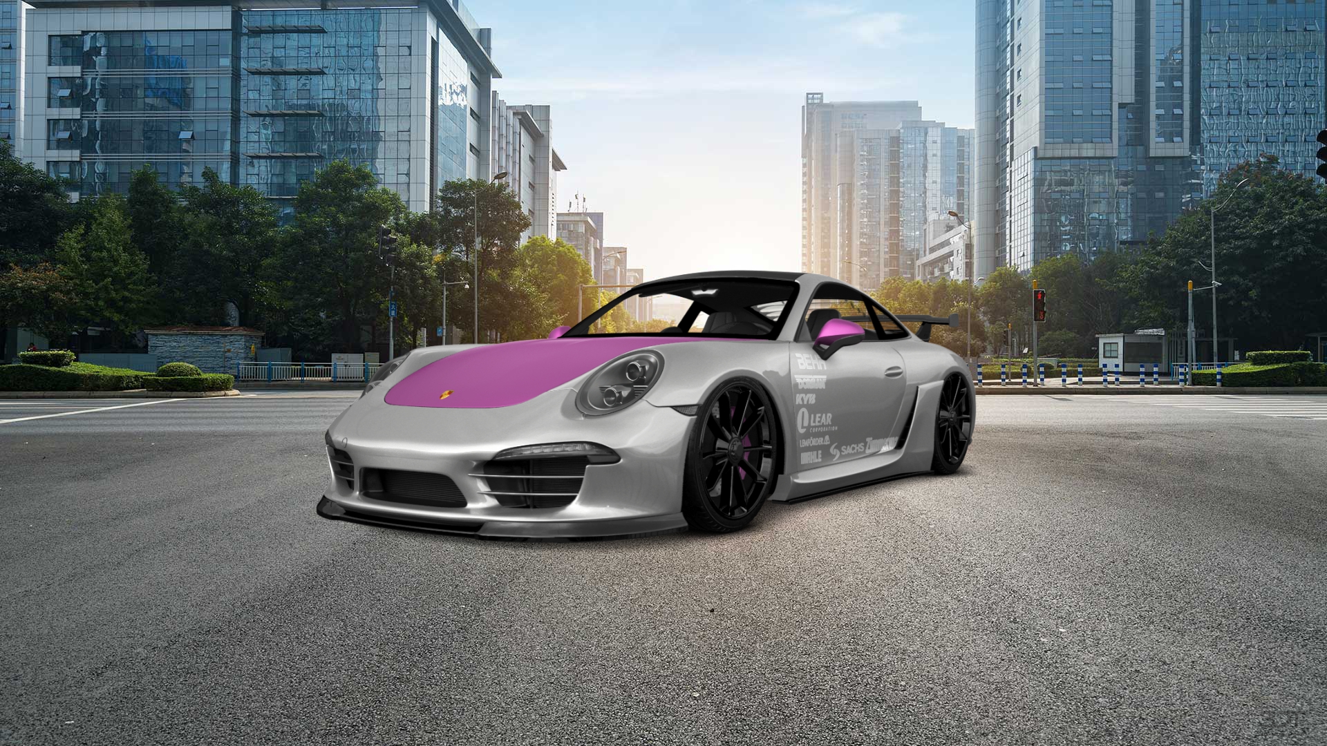 Porsche 911 Carrera 2 Door Coupe 2011