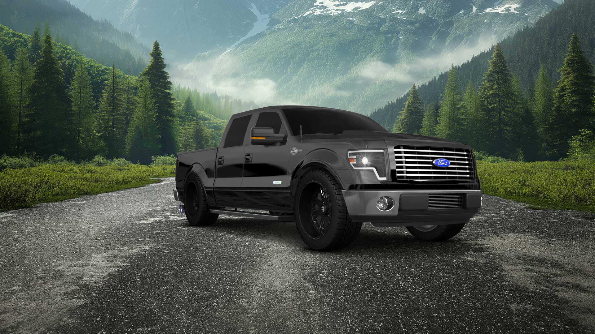 Ford F-150 Crew Cab 4 Door pickup truck 2013
