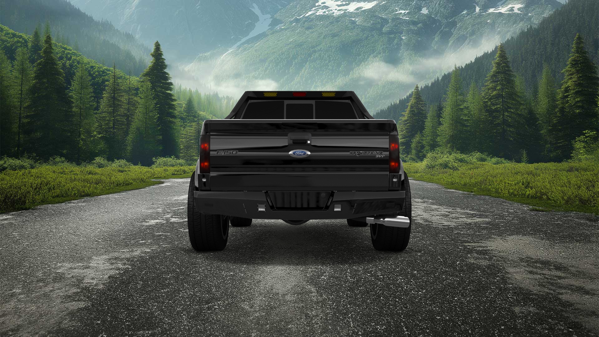 Ford F-150 SVT Raptor 2 Door pickup truck 2010